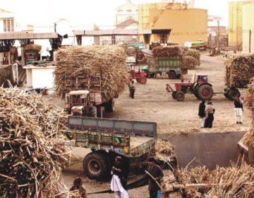 apna lahore